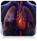 Cardiology Education